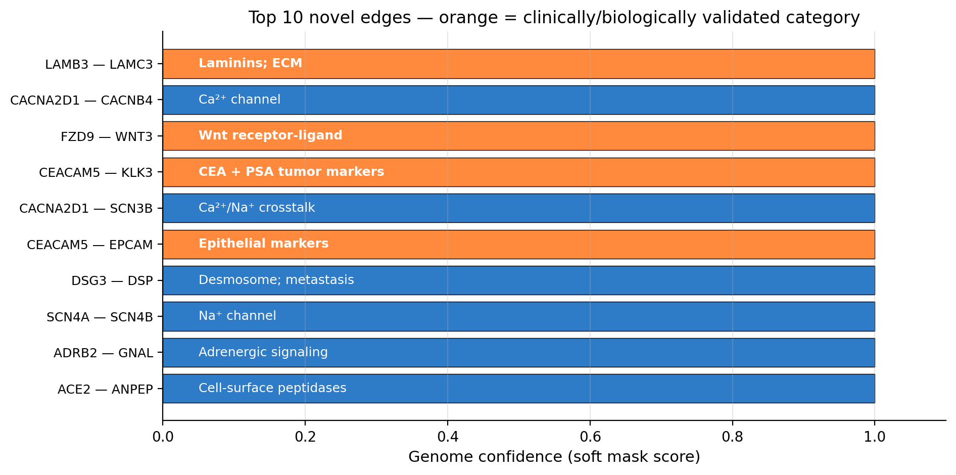 Top novel edges