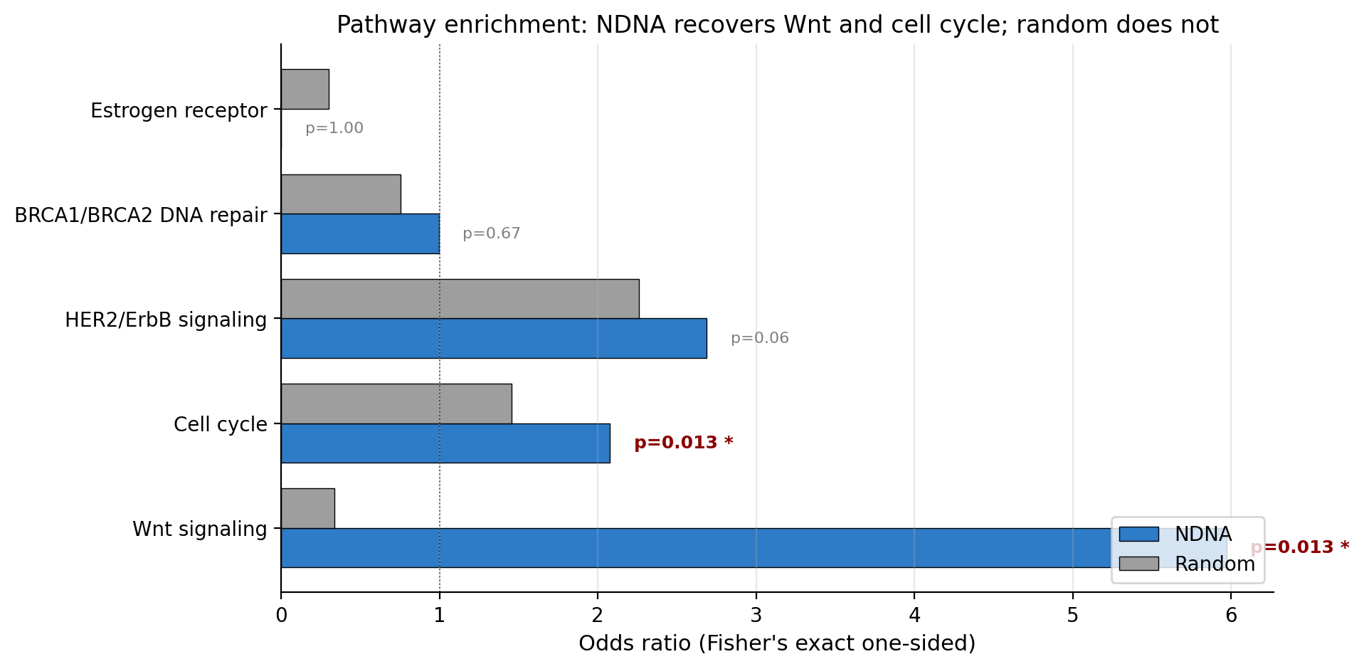 Pathway enrichment